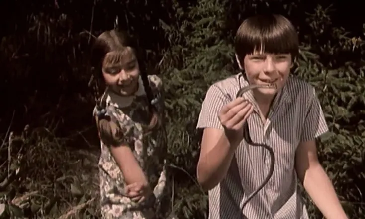 Vacations at Grandma's