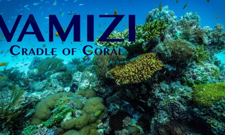 Vamizi Cradle of Coral