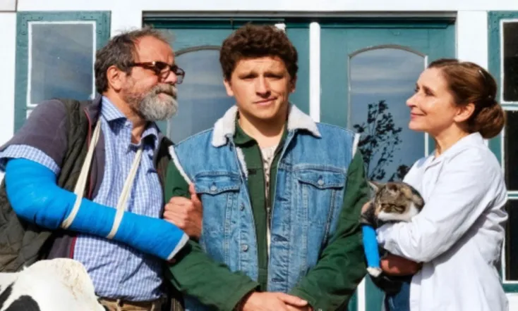 Viele Kühe und ein schwarzes Schaf