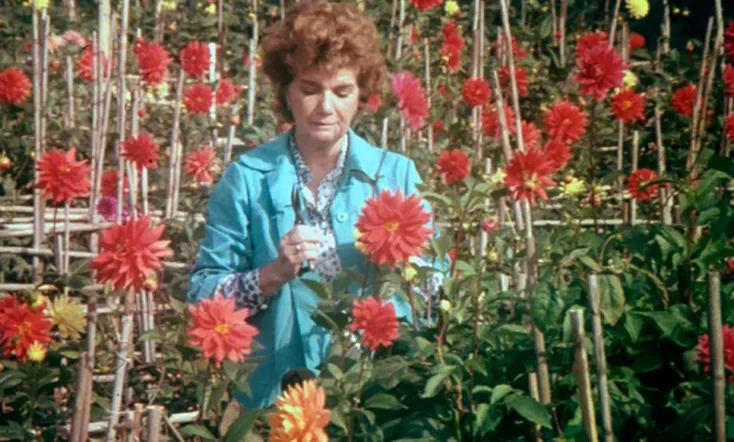 Visit, or Memories and Confessions