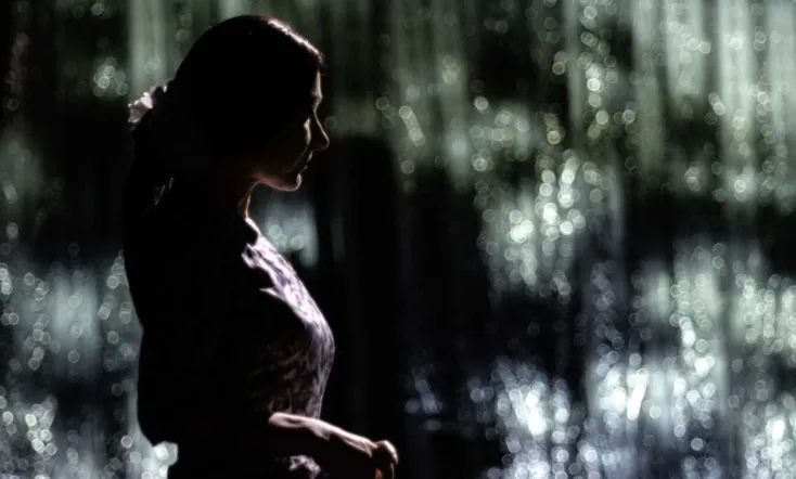 Vita agli arresti di Aung San Suu Kyi