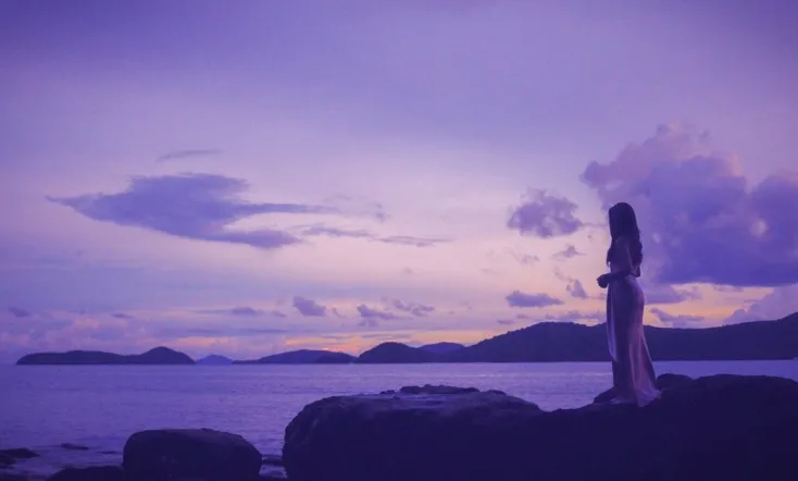 Voyage Into the Night