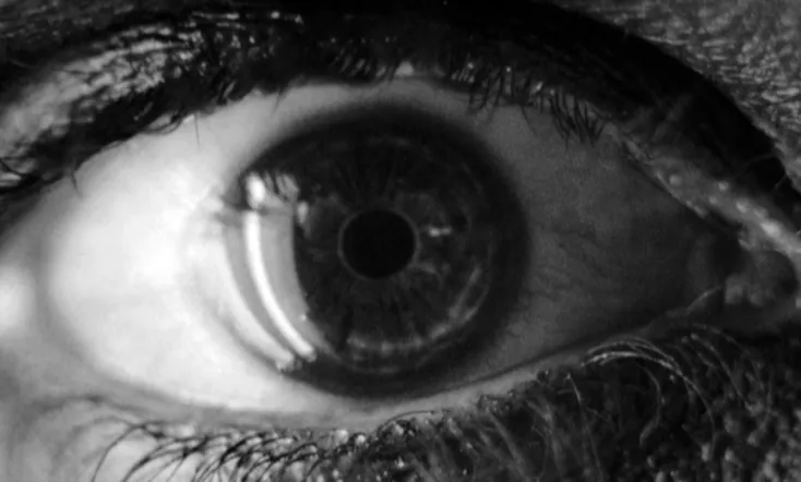 Voyage to 'Metropolis'