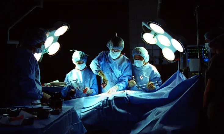 We Ate the Children Last