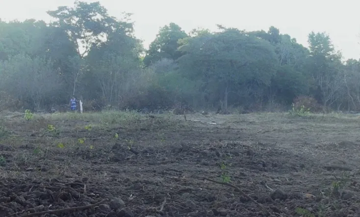 We Are Always Walking