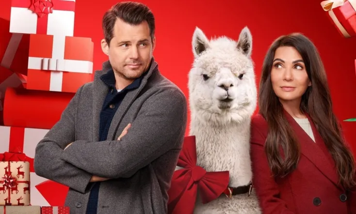 We Wish You a Married Christmas