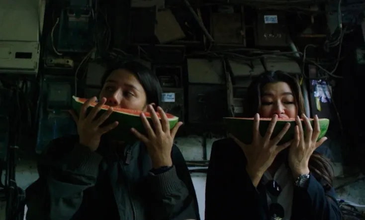 What Happened to the Wolf?