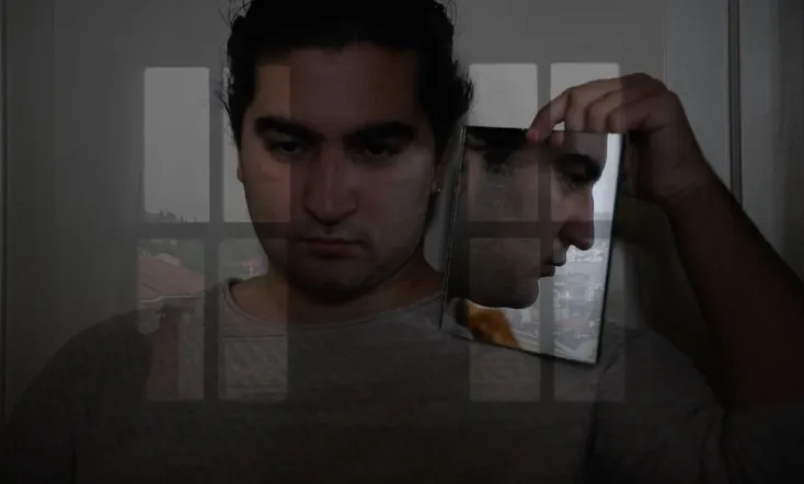 What Ever Happens to Horses with Broken Legs