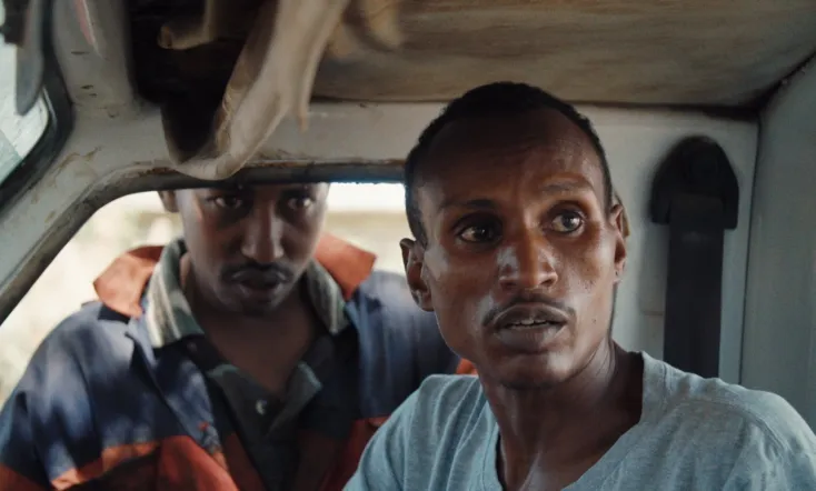 When Lambs Become Lions