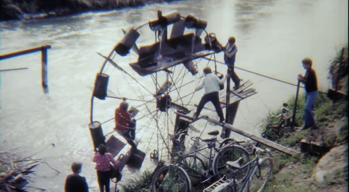 Where's Your Home, Snail?