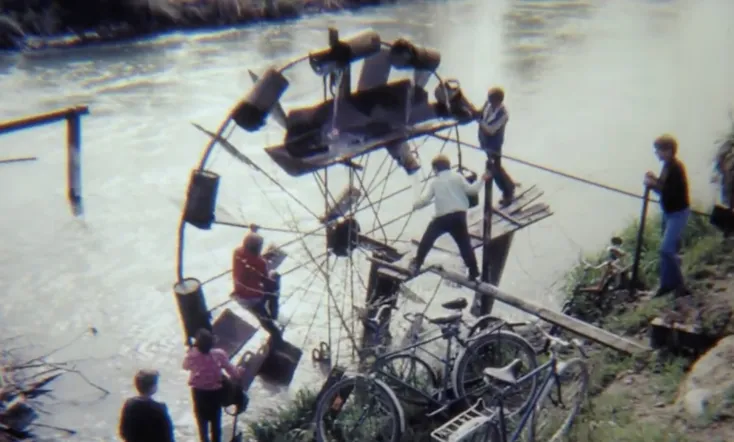 Where's Your Home, Snail?