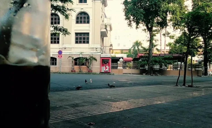 When I think about pigeons