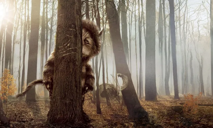 Where the Wild Things Are