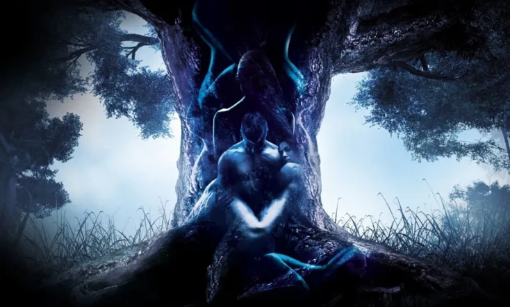 When the Fern Blooms