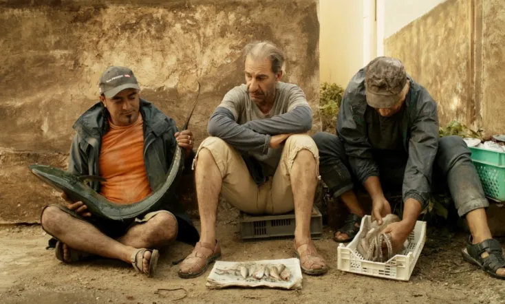 When Pigs Have Wings