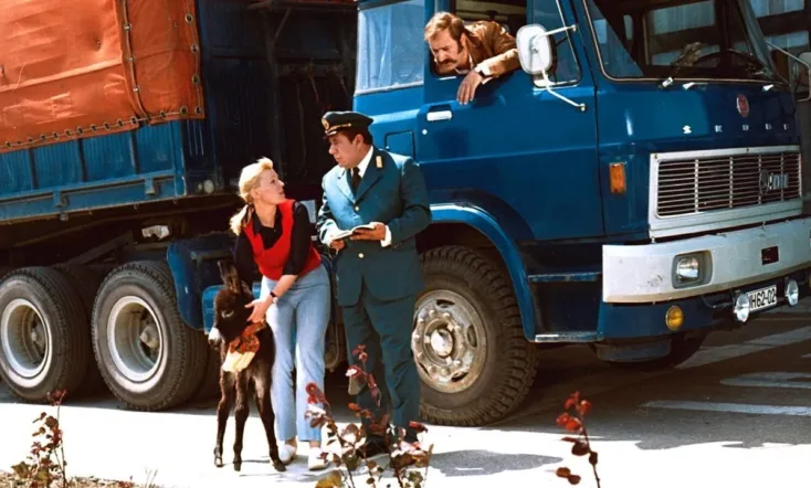 Wie füttert man einen Esel