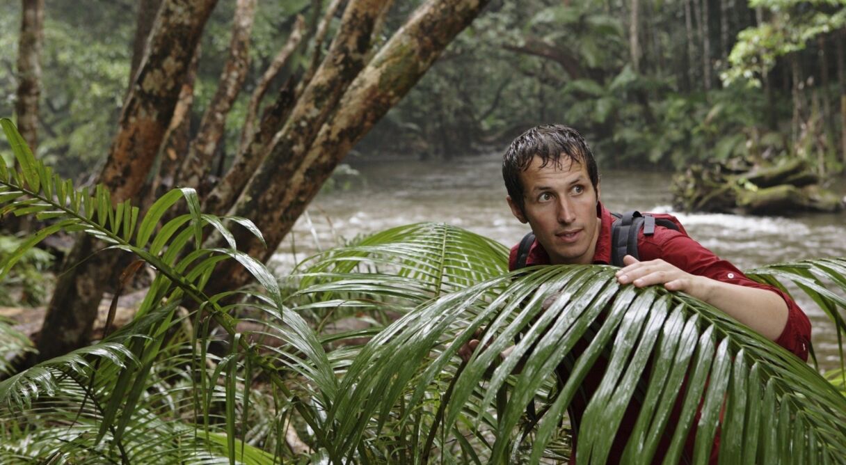 Willi und die Wunder dieser Welt