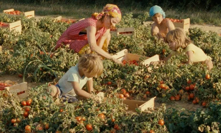 Will It Snow for Christmas?