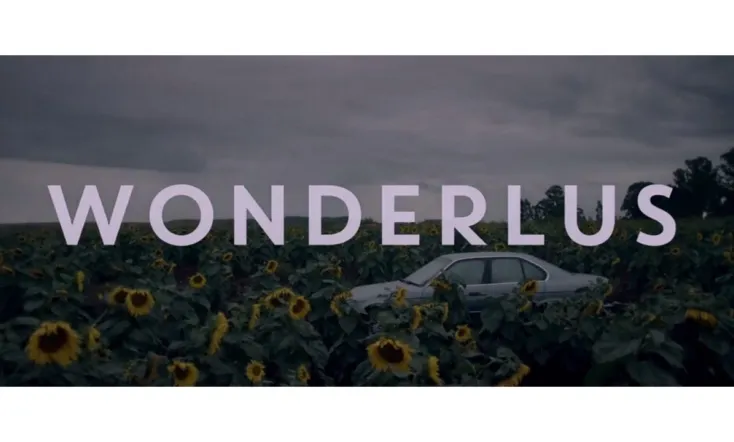 Wonderlus