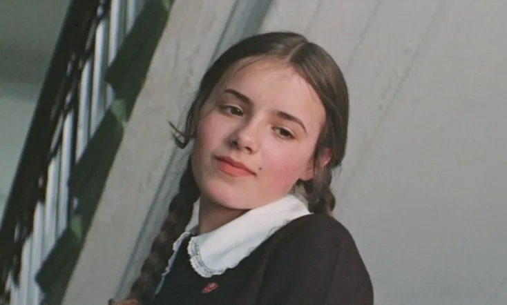 Woodpeckers Don't Get Headaches