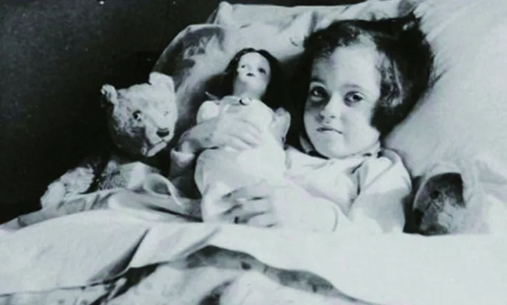 Ydessa, the Bears and etc.