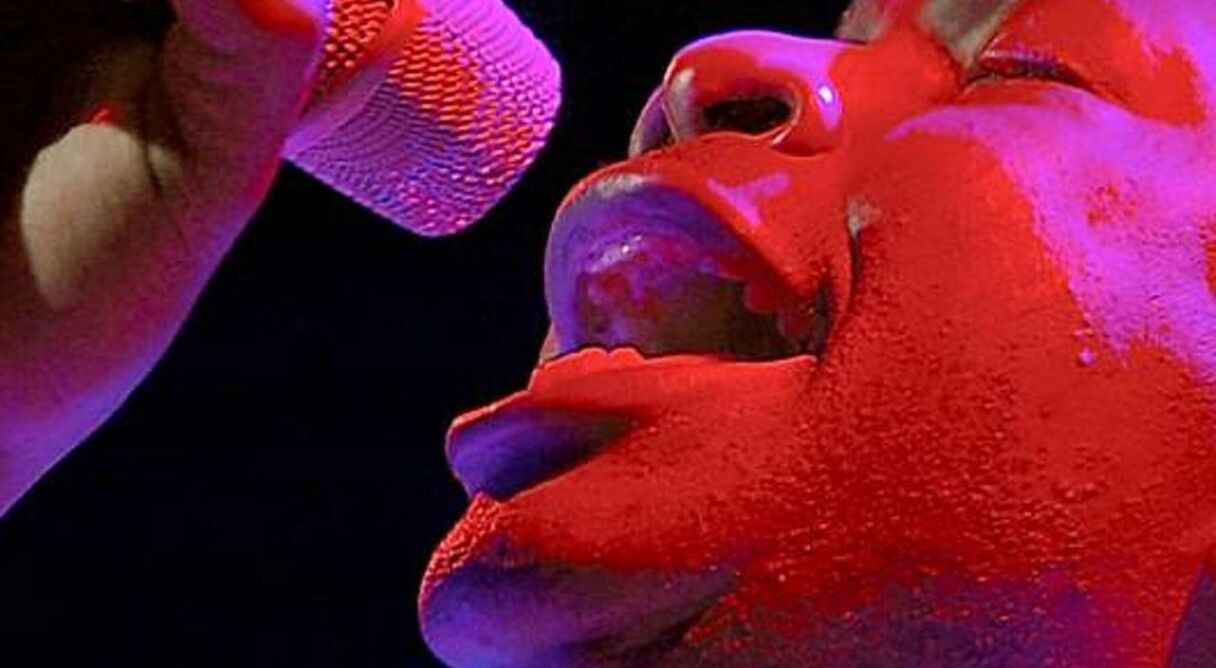 Youssou Ndour: I Bring What I Love