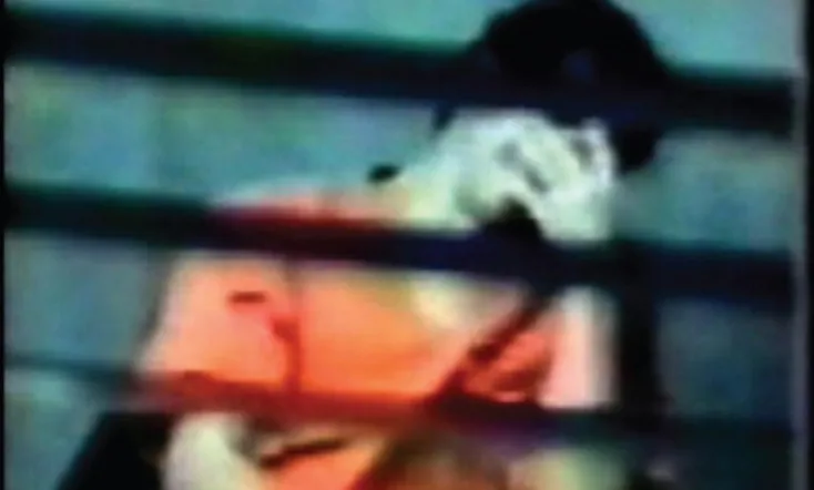 You Don't Like the Truth: 4 Days Inside Guantanamo