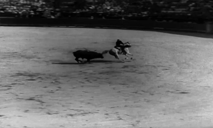 Yo he visto a la muerte