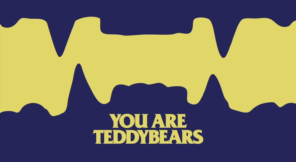 You are Teddybears