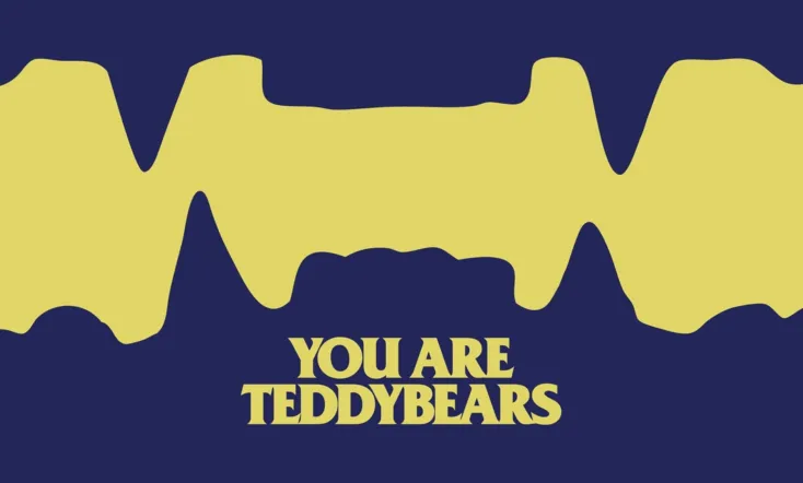 You are Teddybears