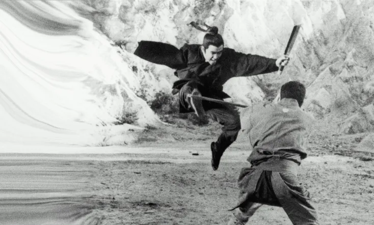 Zatoichi Meets the One-Armed Swordsman