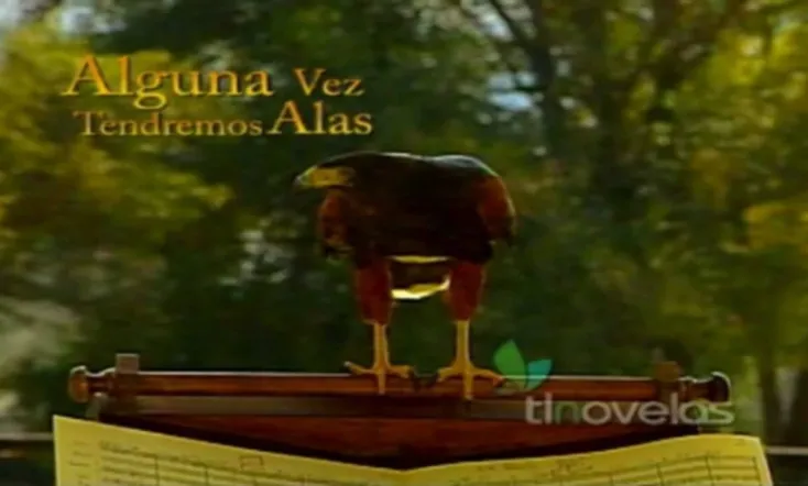 Alguna Vez Tendremos Alas