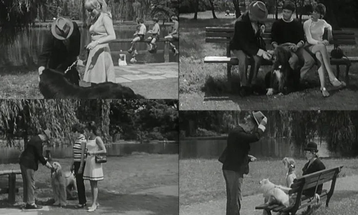 Alle Hunde lieben Theobald