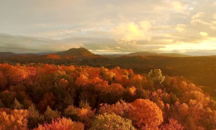 America's Wild Seasons