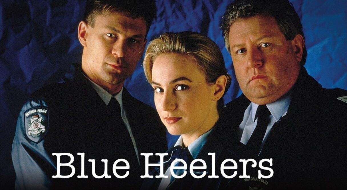 Blue Heelers