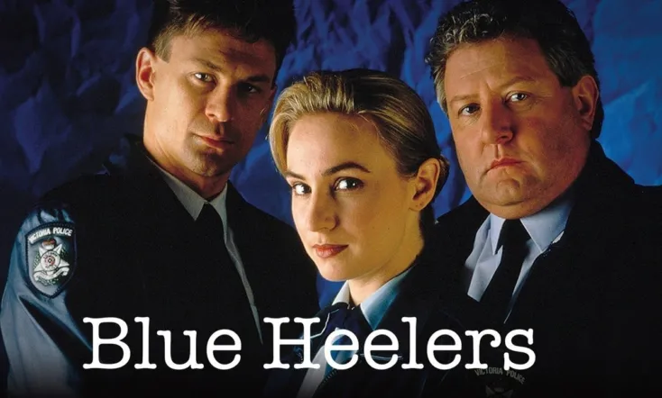 Blue Heelers