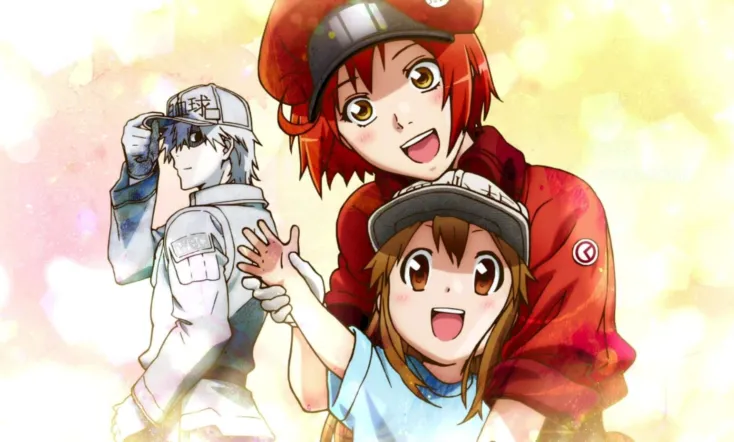 Cells at Work!
