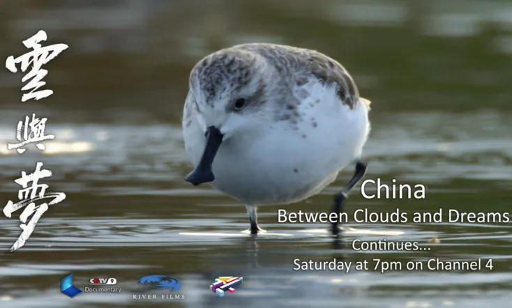 China: Between Clouds and Dreams