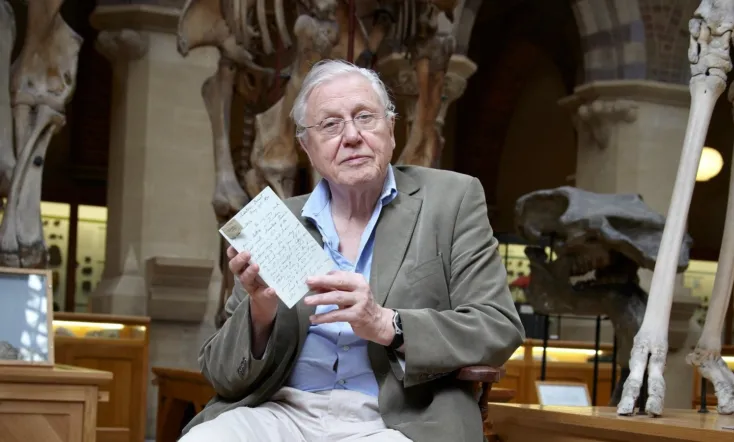 David Attenborough's Natural Curiosities