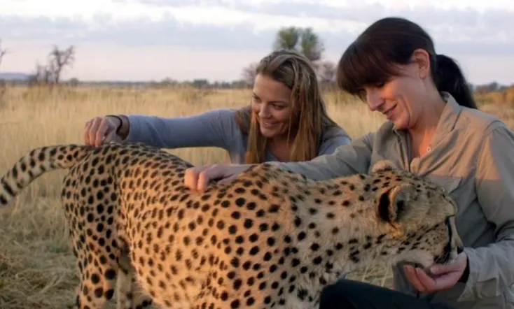 Davina McCall: Life at the Extreme