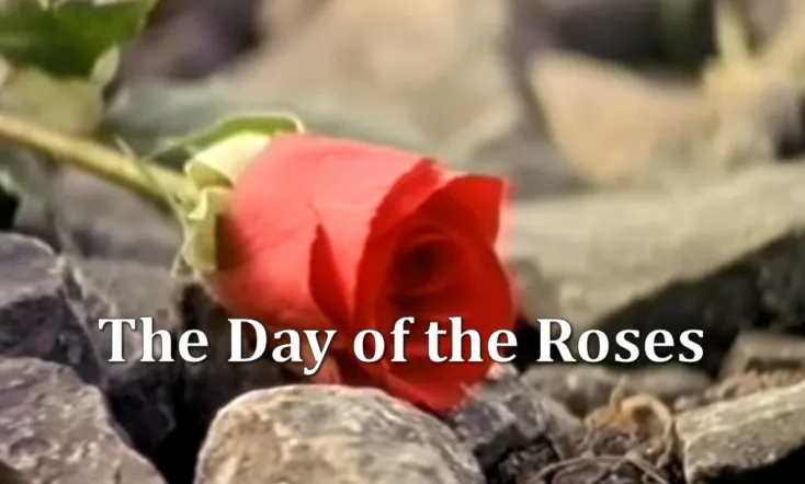The Day of the Roses
