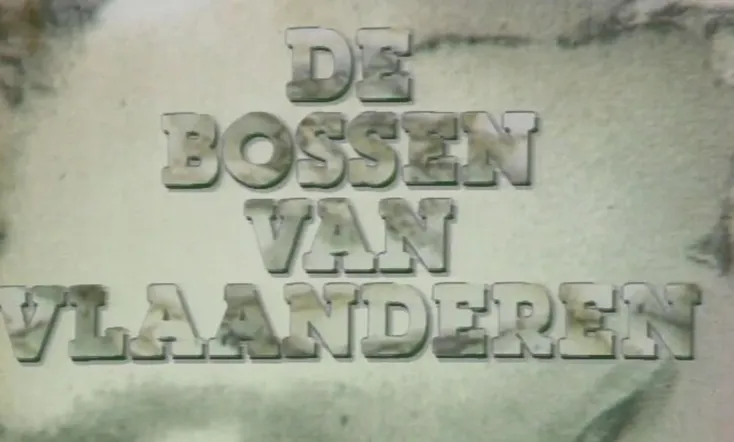 De Bossen Van Vlaanderen