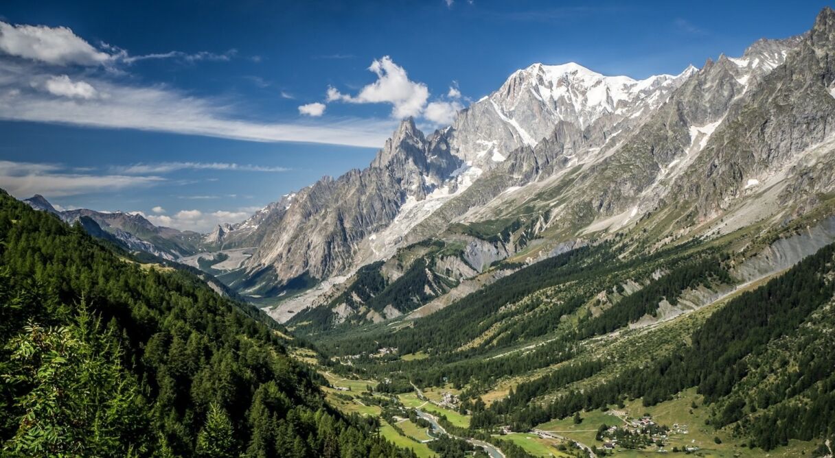 Des racines & des ailes