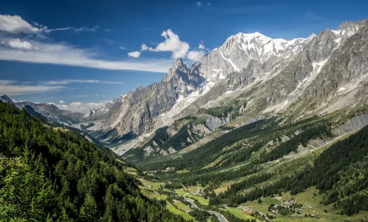 Des racines & des ailes