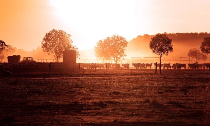 The Dirtwater Dynasty