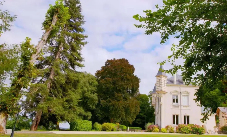 Escape to the Chateau DIY