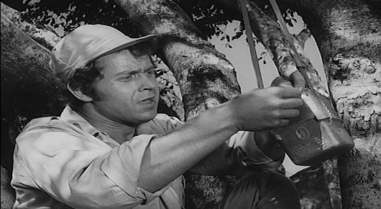 Das Geheimnis der Anden