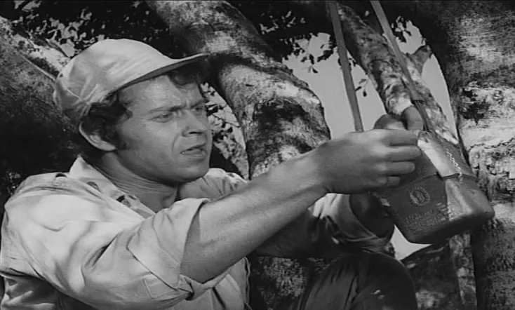 Das Geheimnis der Anden