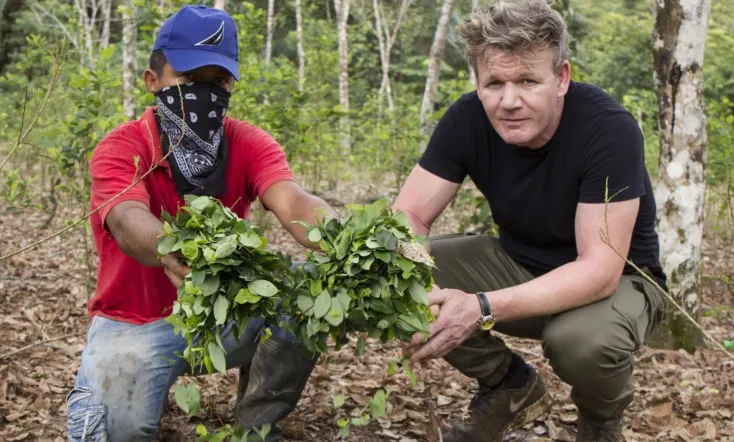 Gordon Ramsay on Cocaine