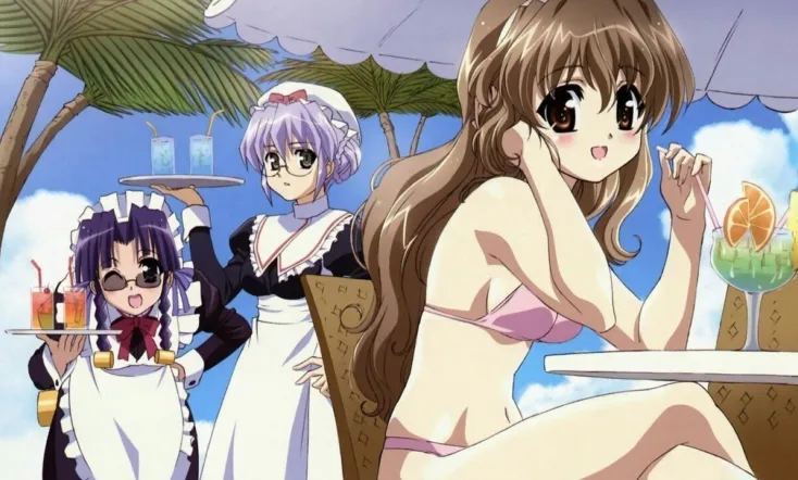 Haruka Nogizaka's Secret